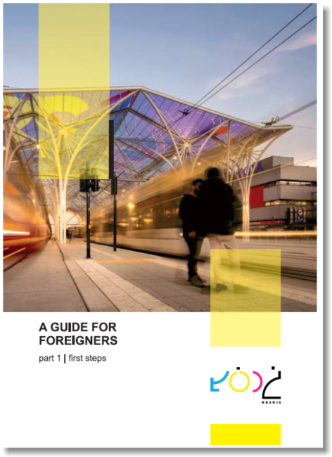 A guide for foreigners. First steps.