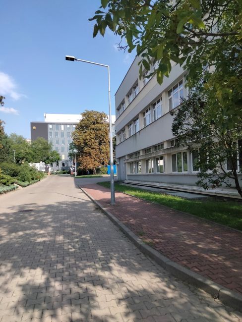 System oświetleniowy PŁ - zdjęcie poglądowe