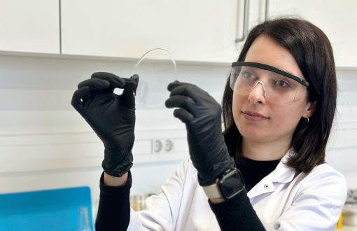 Dr Zeinab Qazanfarzadeh 